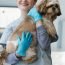Smiling-doctor-holding-dog